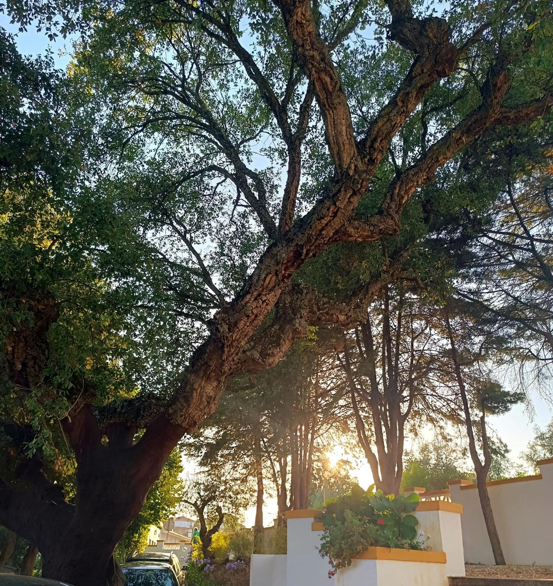 Casa Da Praia Do Ribatejo מראה חיצוני תמונה